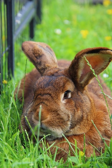 온라인카지노 플랫폼 분석
